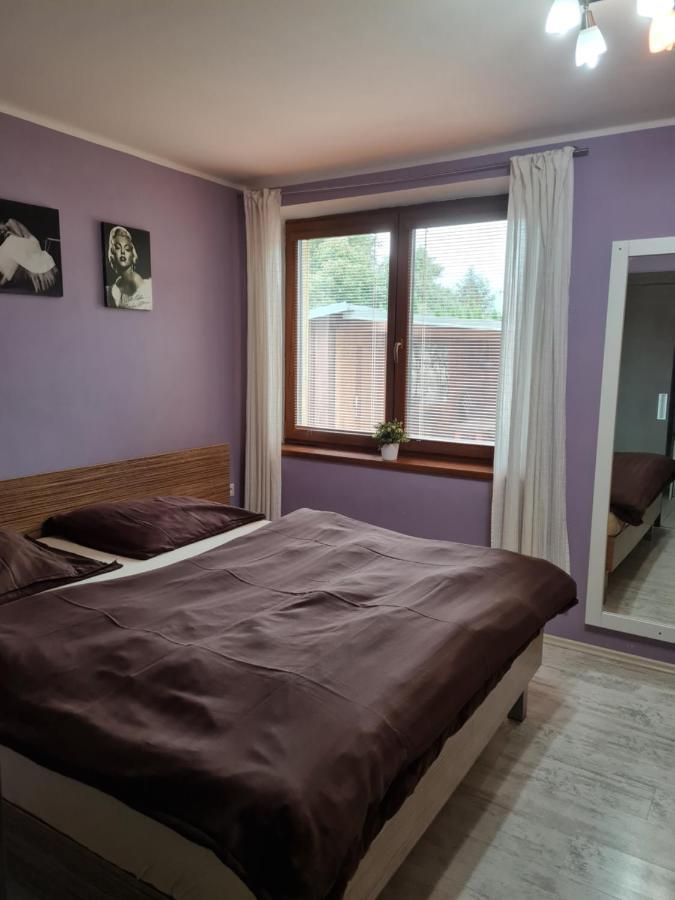 Vila Max - Whirlpool & Bazen & Sauna Velké Losiny Eksteriør billede