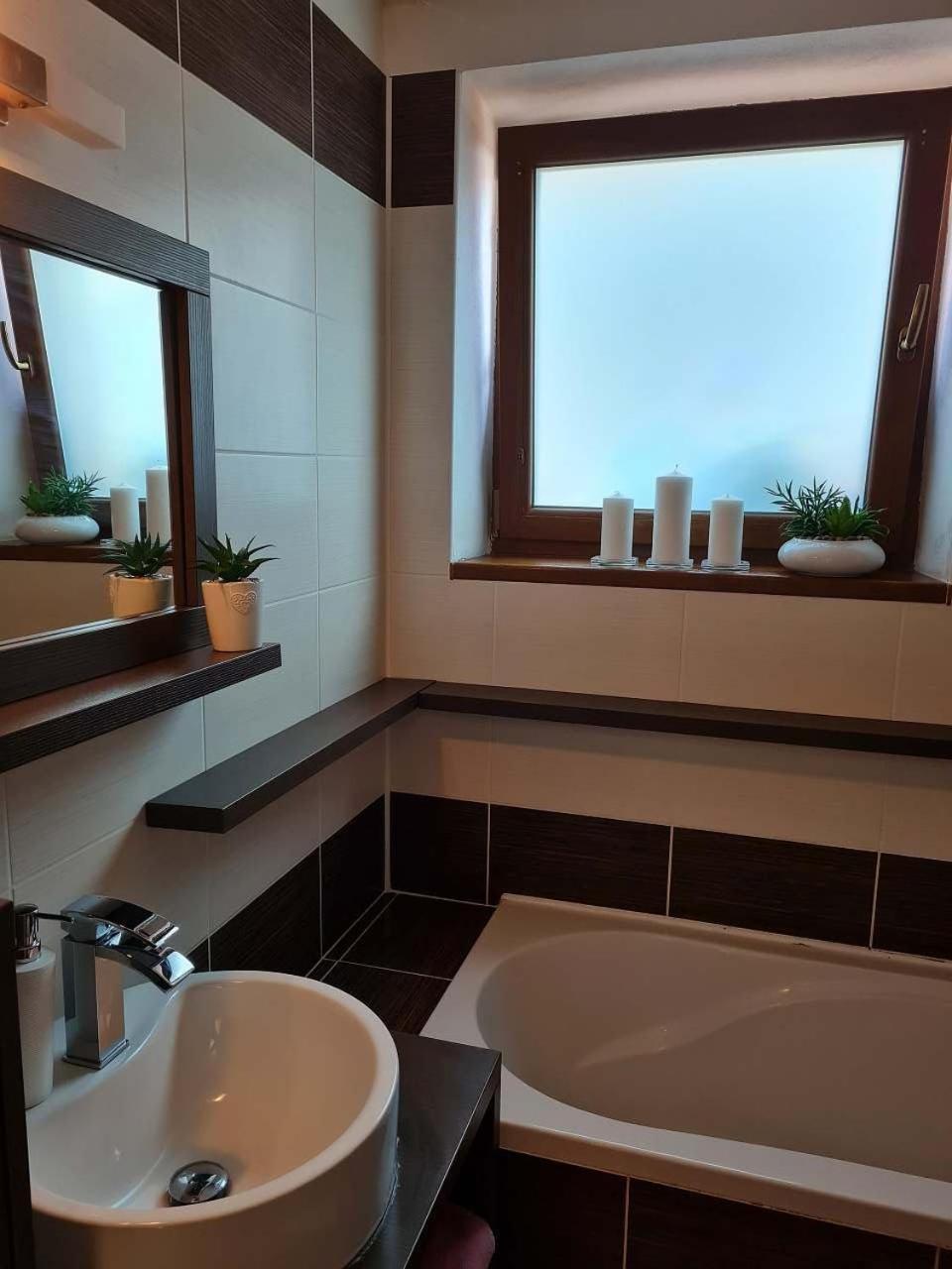 Vila Max - Whirlpool & Bazen & Sauna Velké Losiny Eksteriør billede